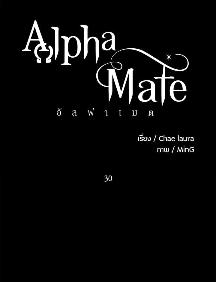 Alpha Mate 30 (16)