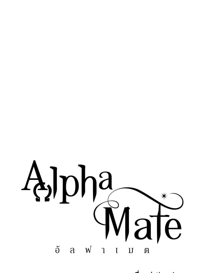 Alpha Mate 32 (42)