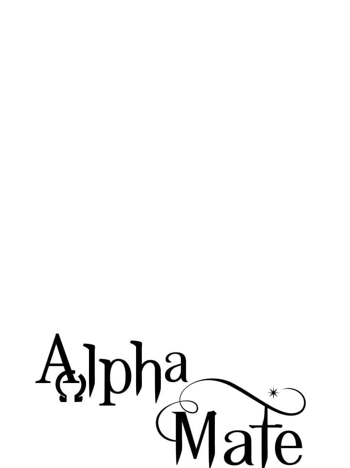 Alpha Mate 37 (4)