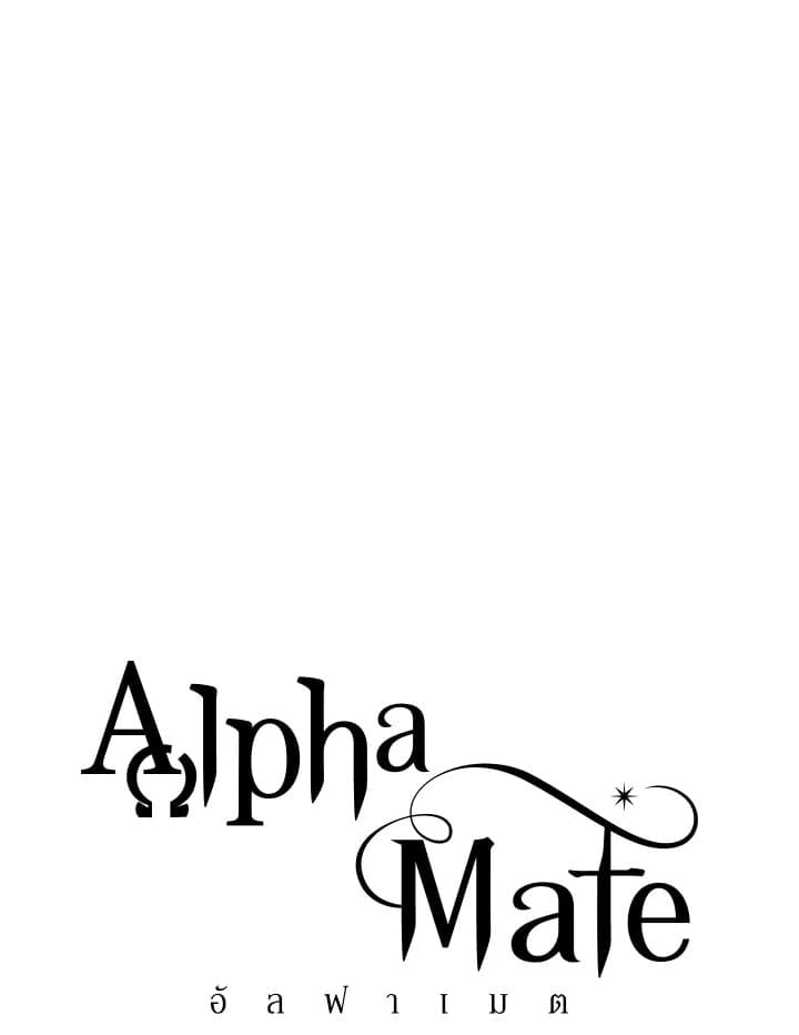 Alpha Mate 37 (6)