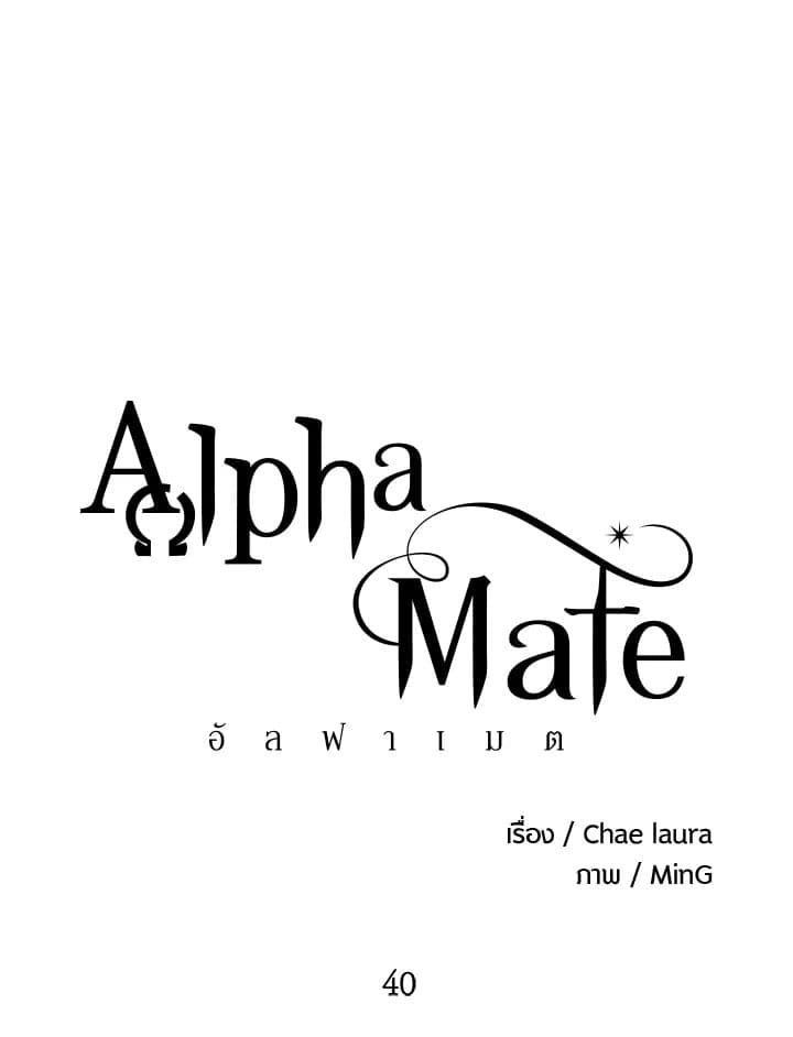 Alpha Mate 40 (13)