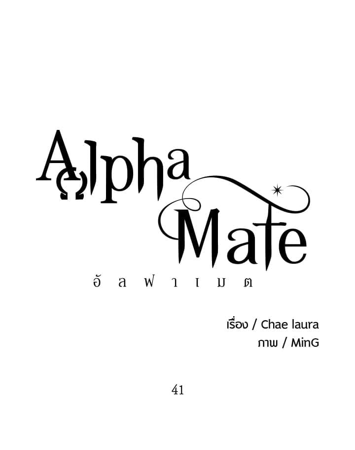 Alpha Mate 40 (28)