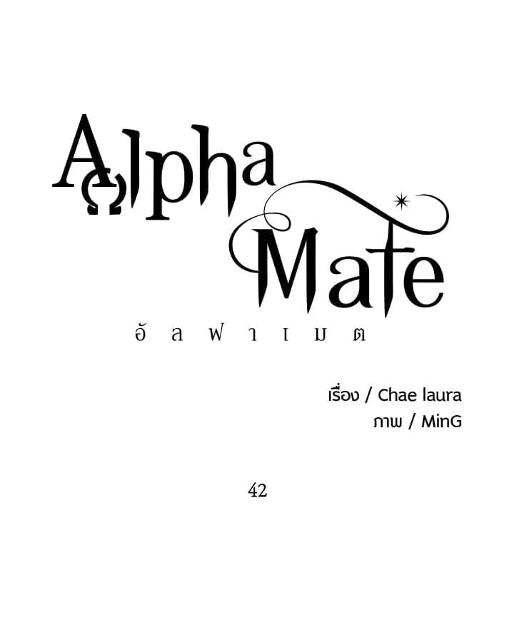 Alpha Mate 41 (82)