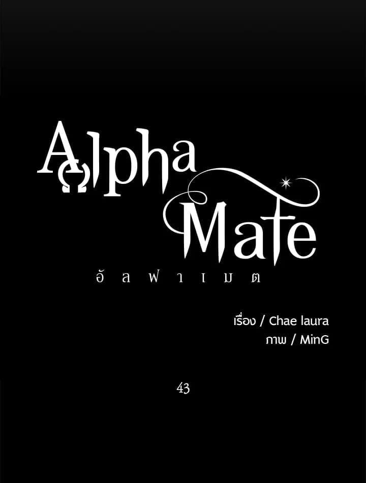 Alpha Mate 43 (8)