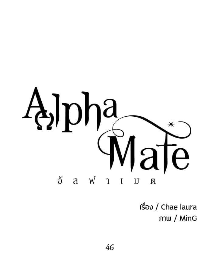 Alpha Mate 46 (27)