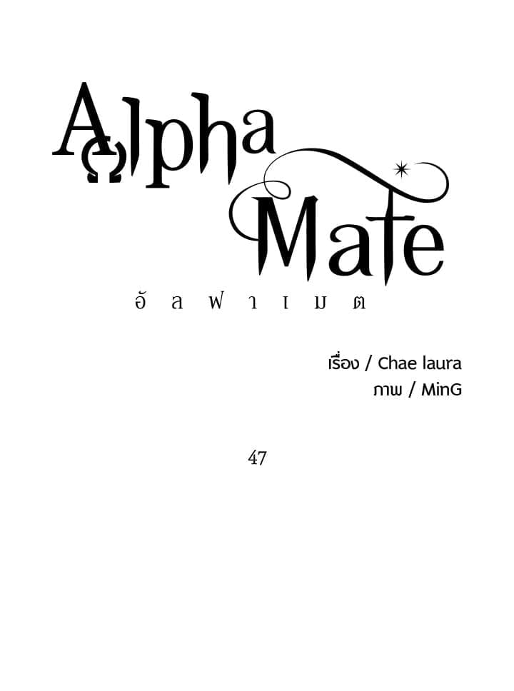 Alpha Mate 47 (36)