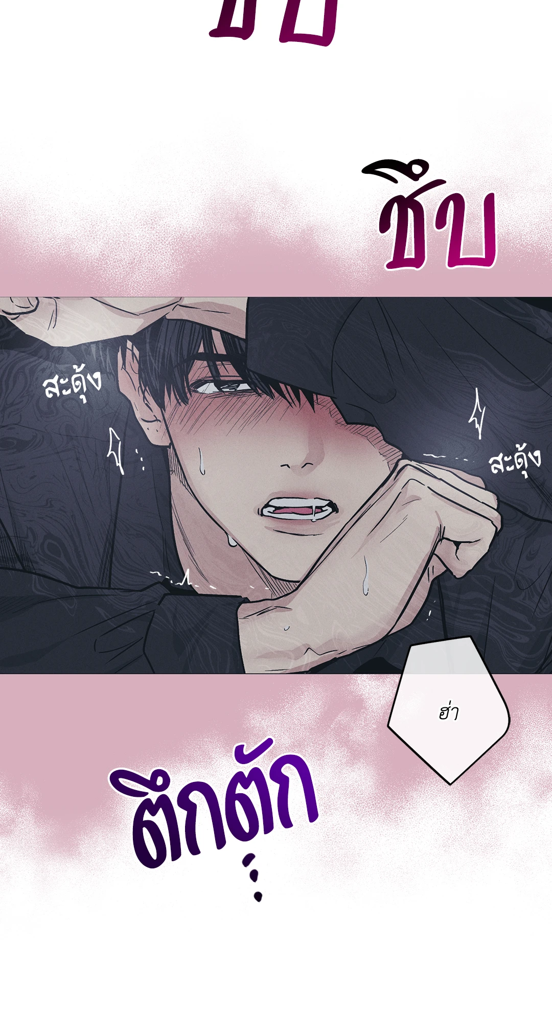 Payback 42 (47)