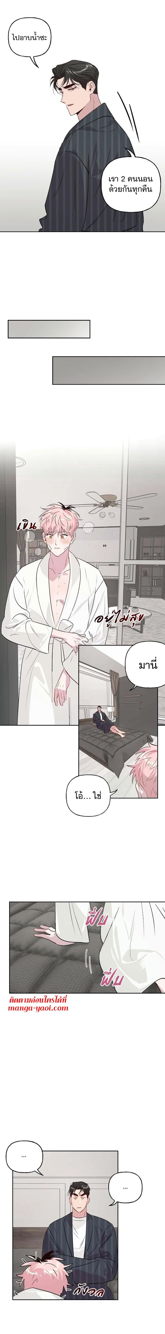 Assorted Wildness ตอนที่ 1510