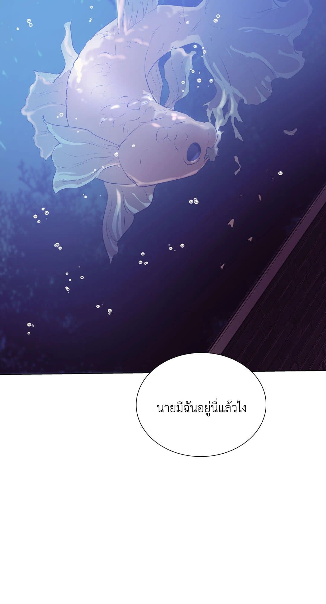 Pearl Boy ตอนที่ 29093