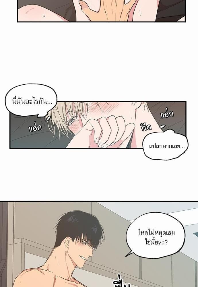 No Love Zone ตอนที่ 4706