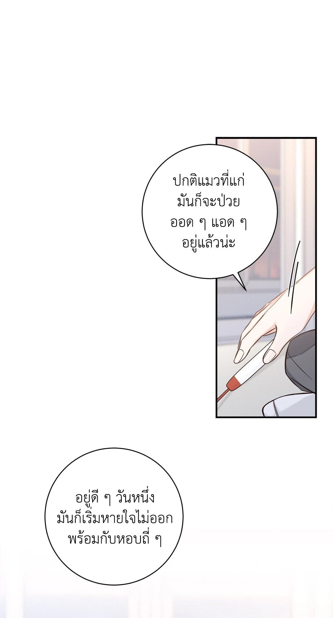 Summer Season ตอนที่ 650