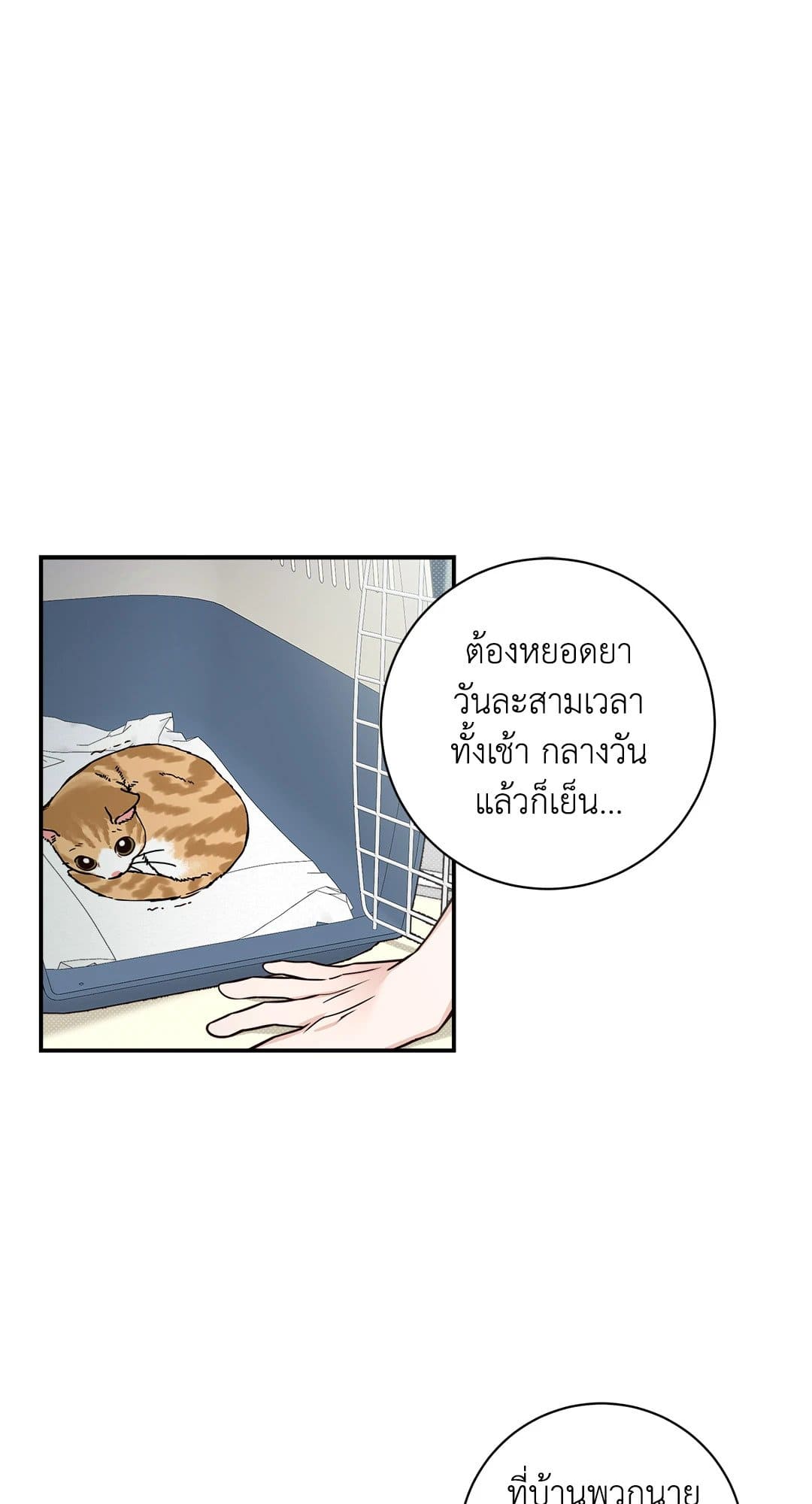 Summer Season ตอนที่ 729