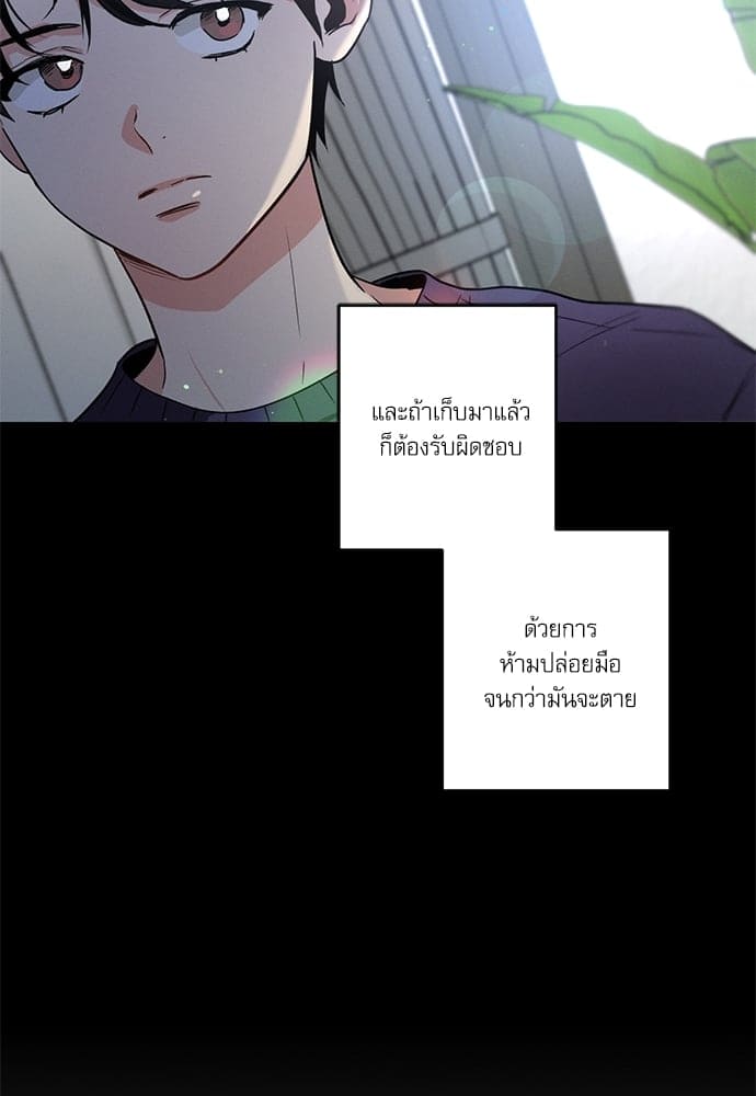 Love History Caused ตอนที่ 33016