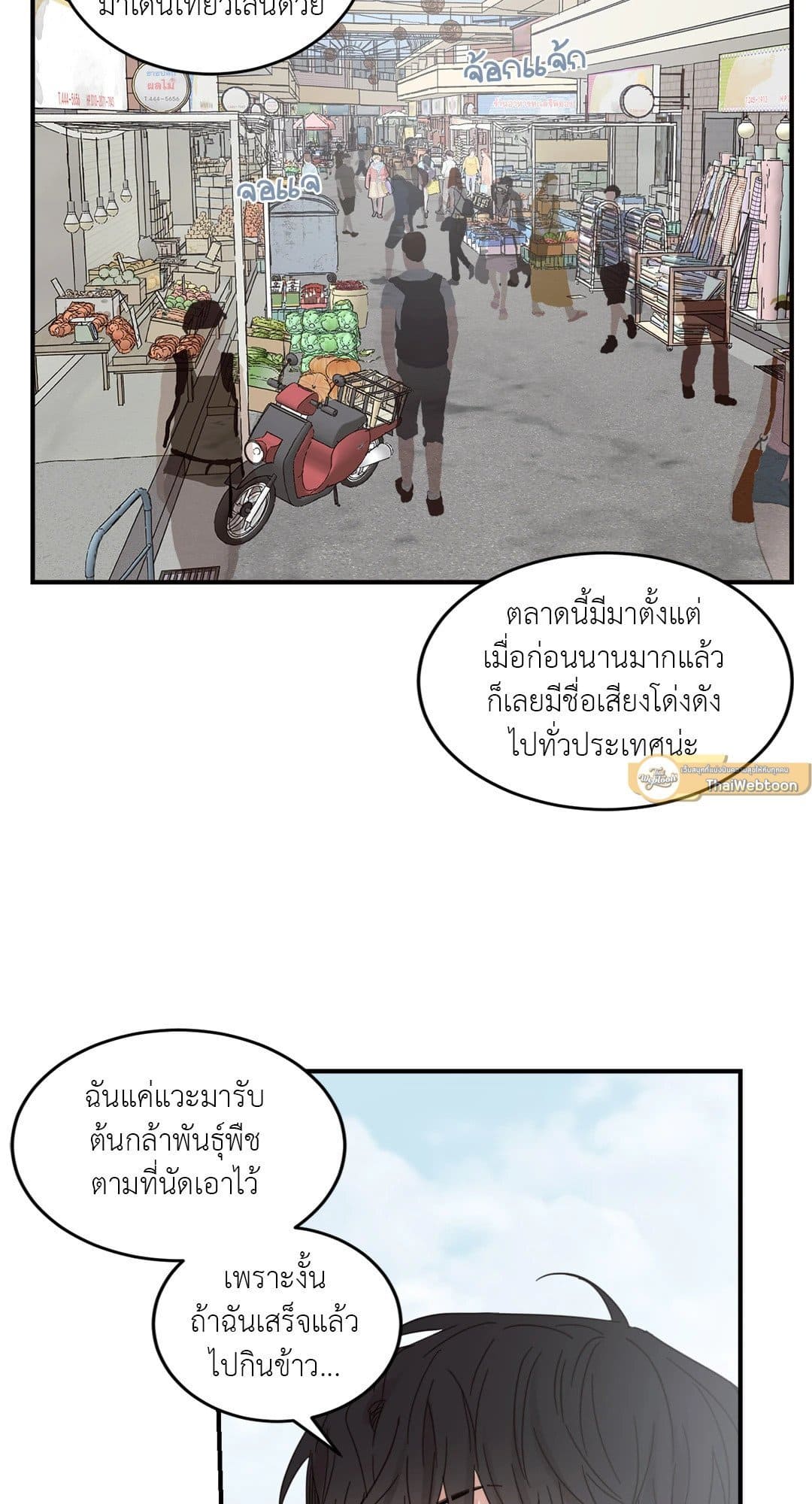 Our Sunny Days เมื่อวันฟ้าใส ตอนที่ 1926