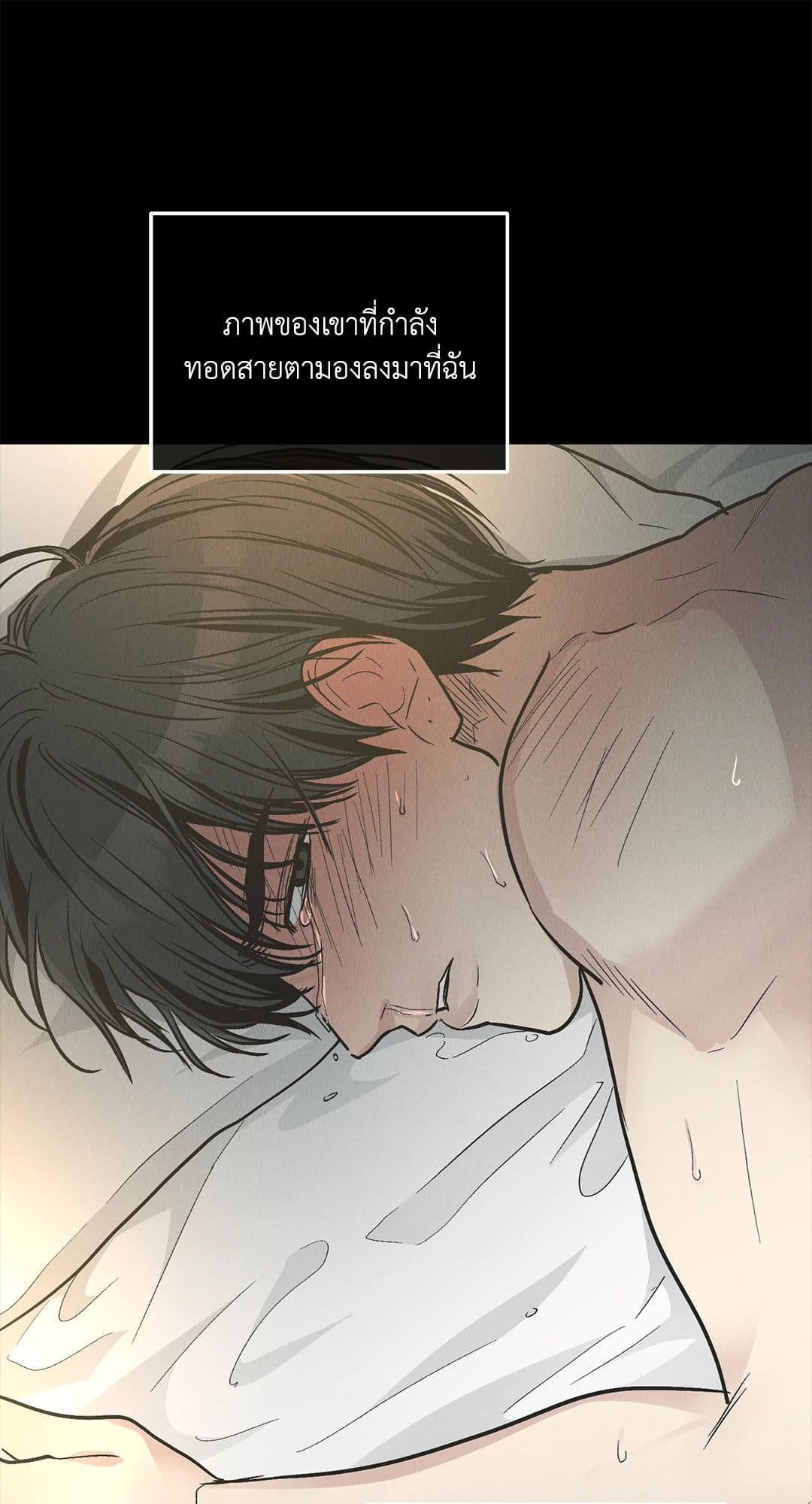 Payback ตอนที่ 8031