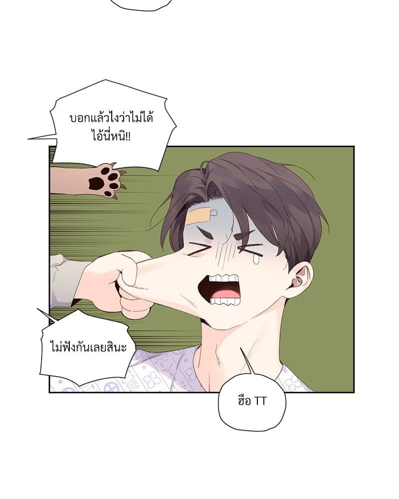 4 Week Lovers แฟนกัน 4 สัปดาห์ ตอนที่ 10213