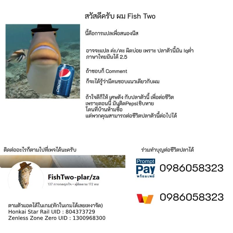 พี่สาวไม่รู้จักโต5