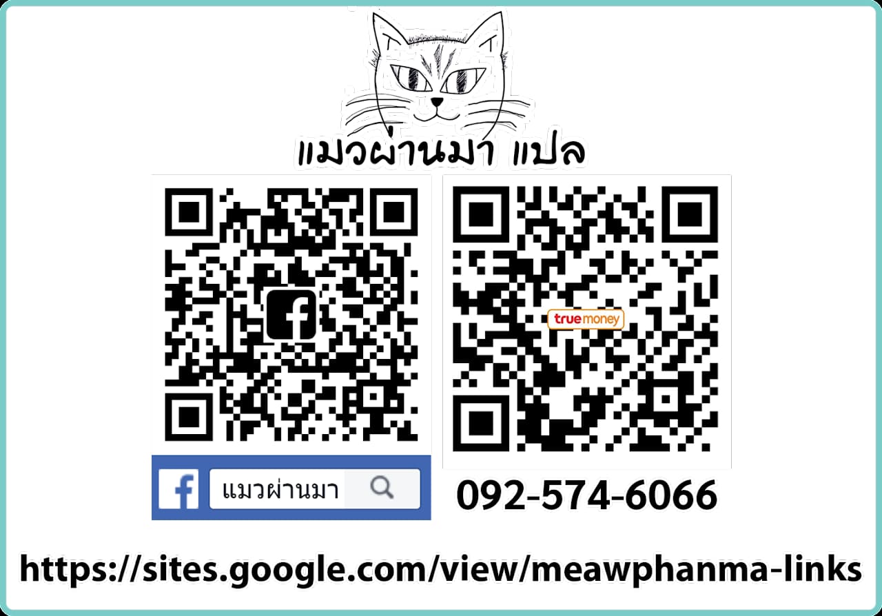 รีบๆ เอาเลยสิคะ34