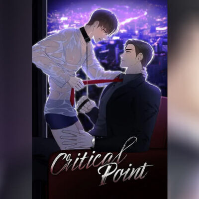 ปก Critical Point