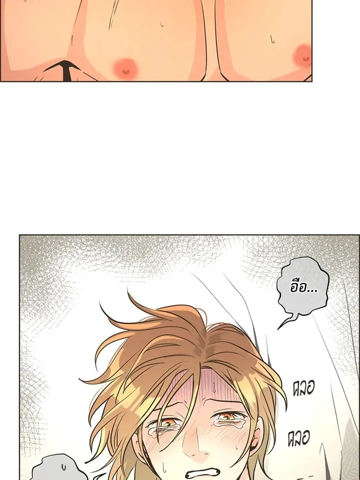 Pfeos เฟออส ตอนที่ 1072