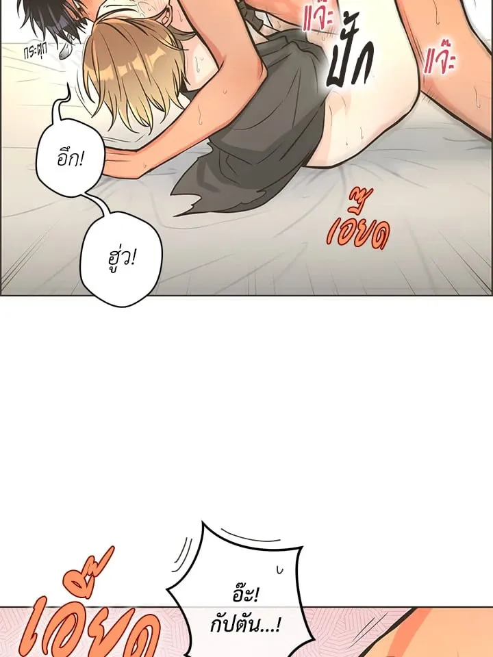 Pfeos เฟออส ตอนที่ 1139