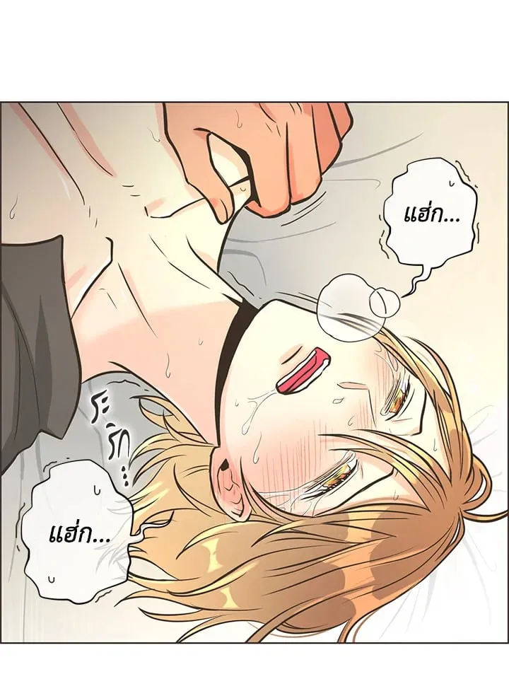Pfeos เฟออส ตอนที่ 1148