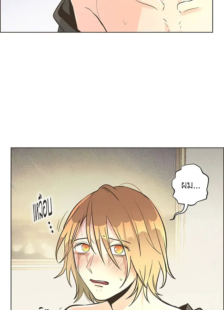 Pfeos เฟออส ตอนที่ 1164