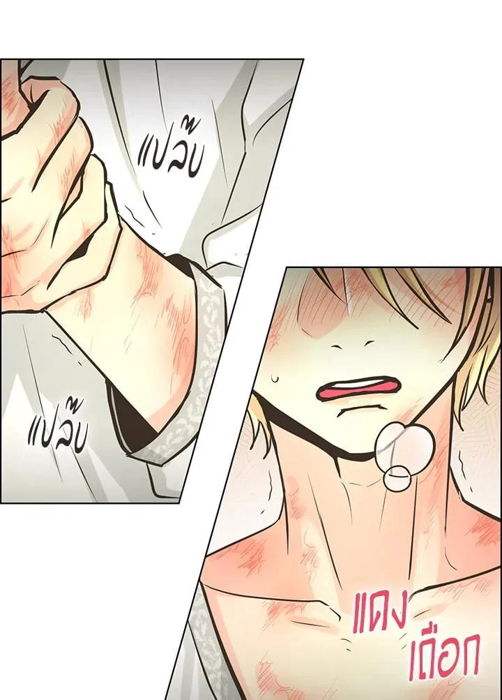 Pfeos เฟออส ตอนที่ 2562