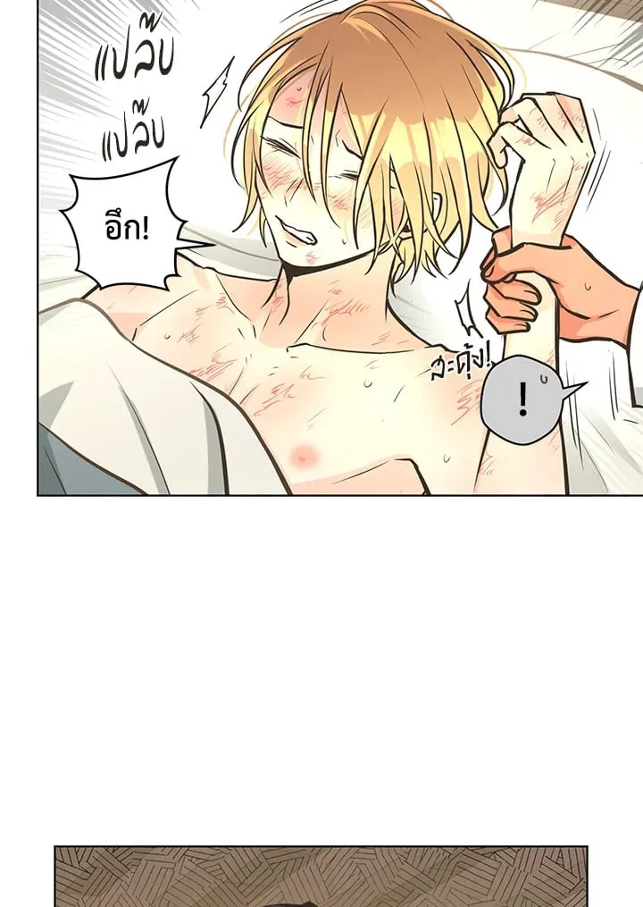 Pfeos เฟออส ตอนที่ 2616