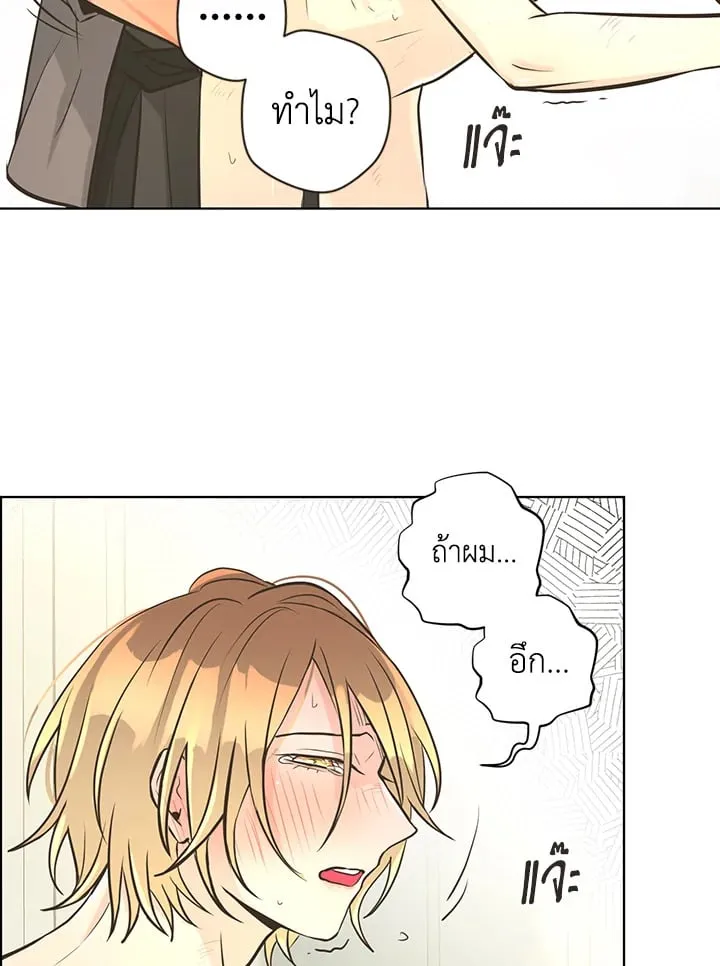 Pfeos เฟออส ตอนที่ 3116