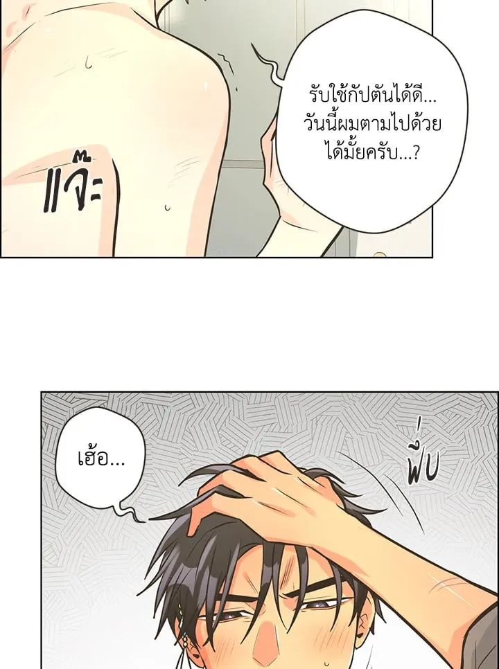 Pfeos เฟออส ตอนที่ 3117