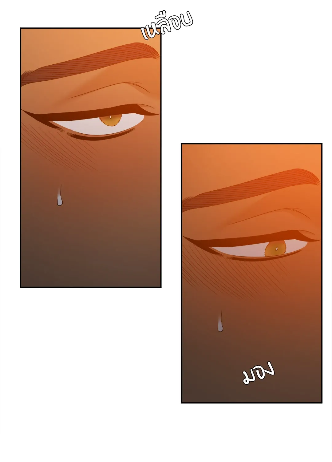 Taming the Tiger ตอนที่ 7540