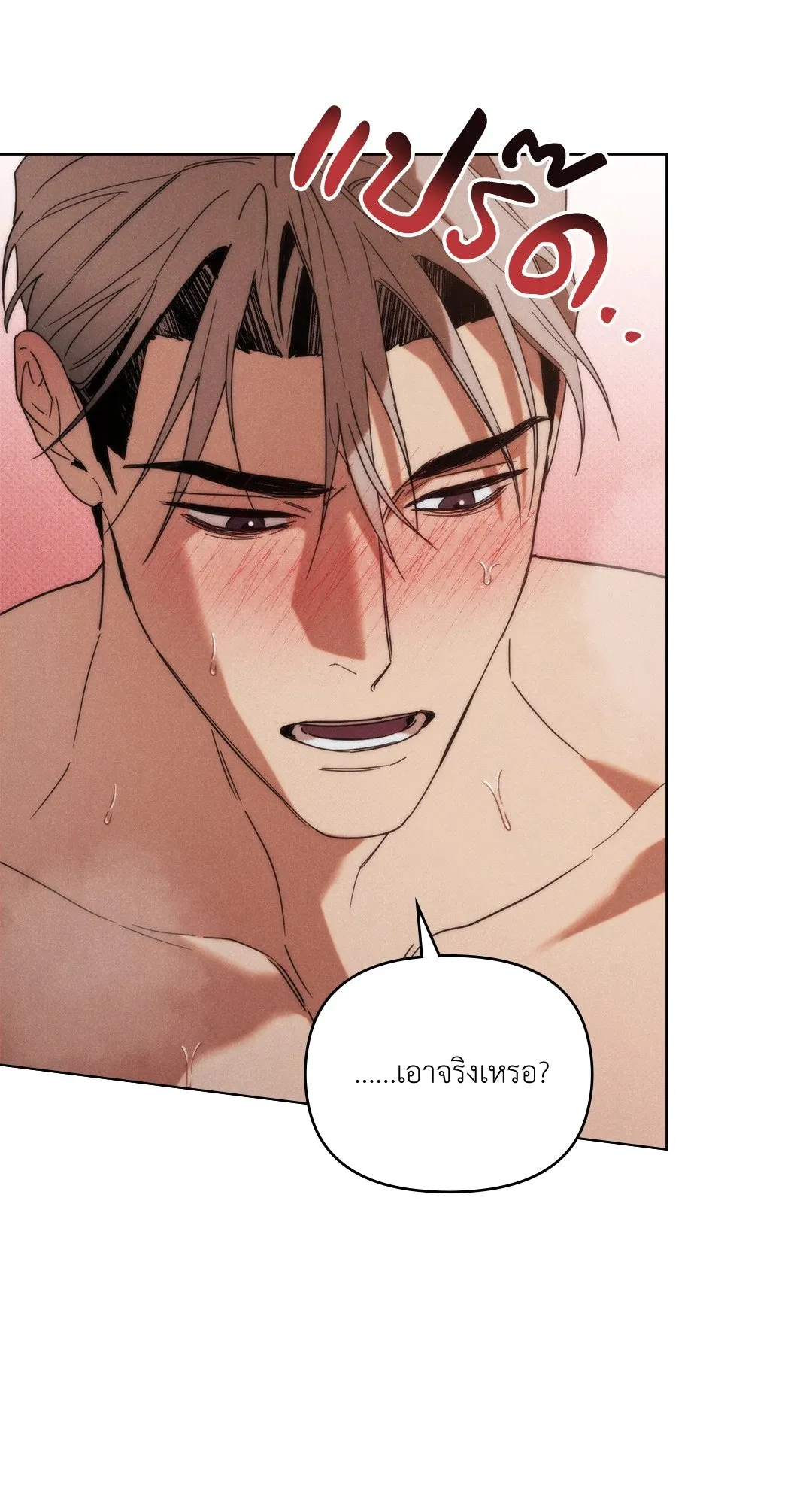 Undercover Darling ตอน 1114