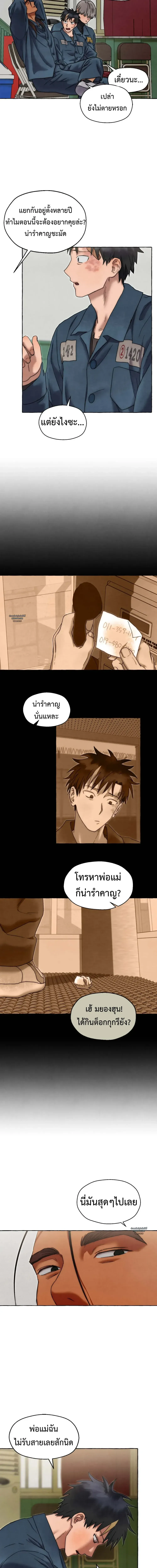 Slammer Dogs ตอนที่ 2915