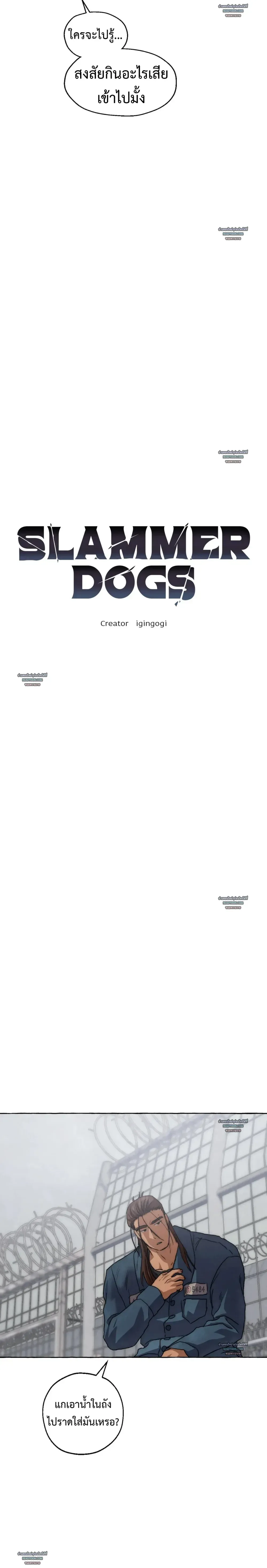 Slammer Dogs ตอนที่ 5107 Slammer Dogs ตอนที่ 5107