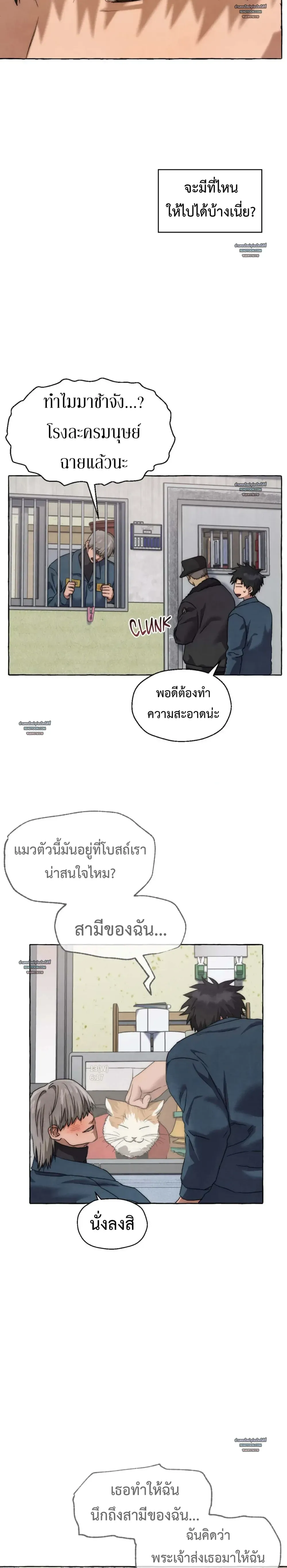 Slammer Dogs ตอนที่ 5210 Slammer Dogs ตอนที่ 5210
