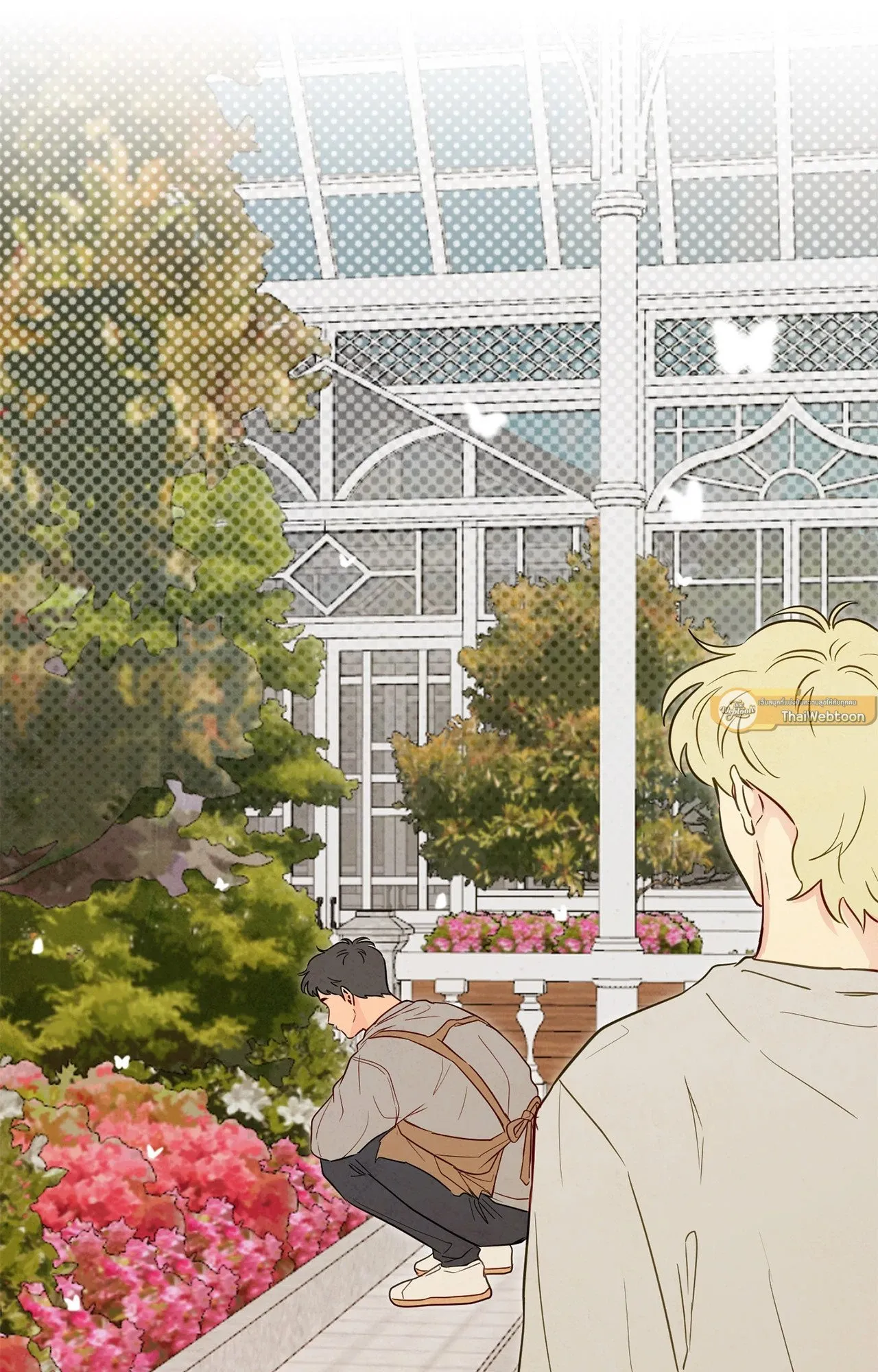 The Sacred Serpent’s ตอนที่ 3253 The Sacred Serpent’s ตอนที่ 3253