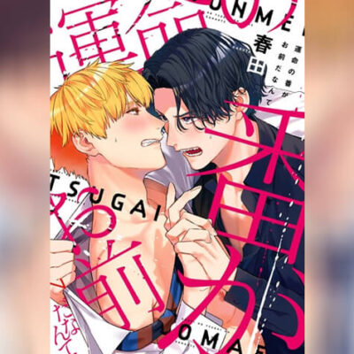 ปก Unmei no Tsugai ga Omae da Nante