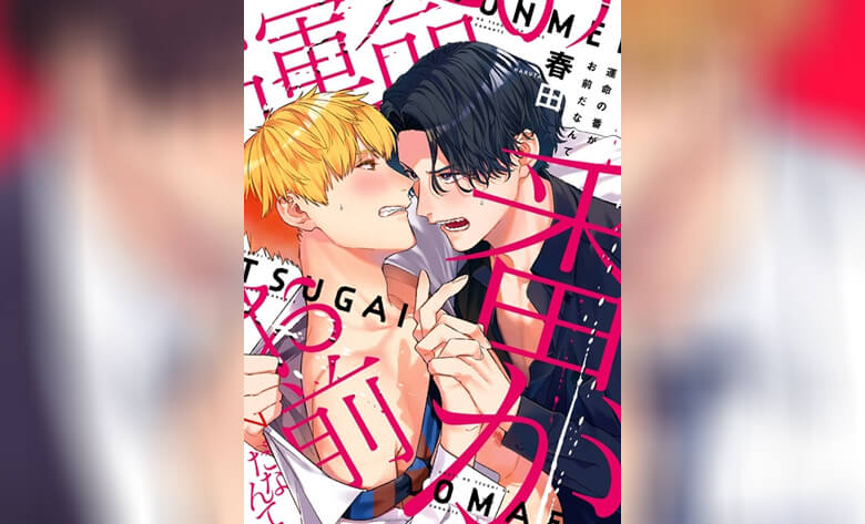 ปก Unmei no Tsugai ga Omae da Nante