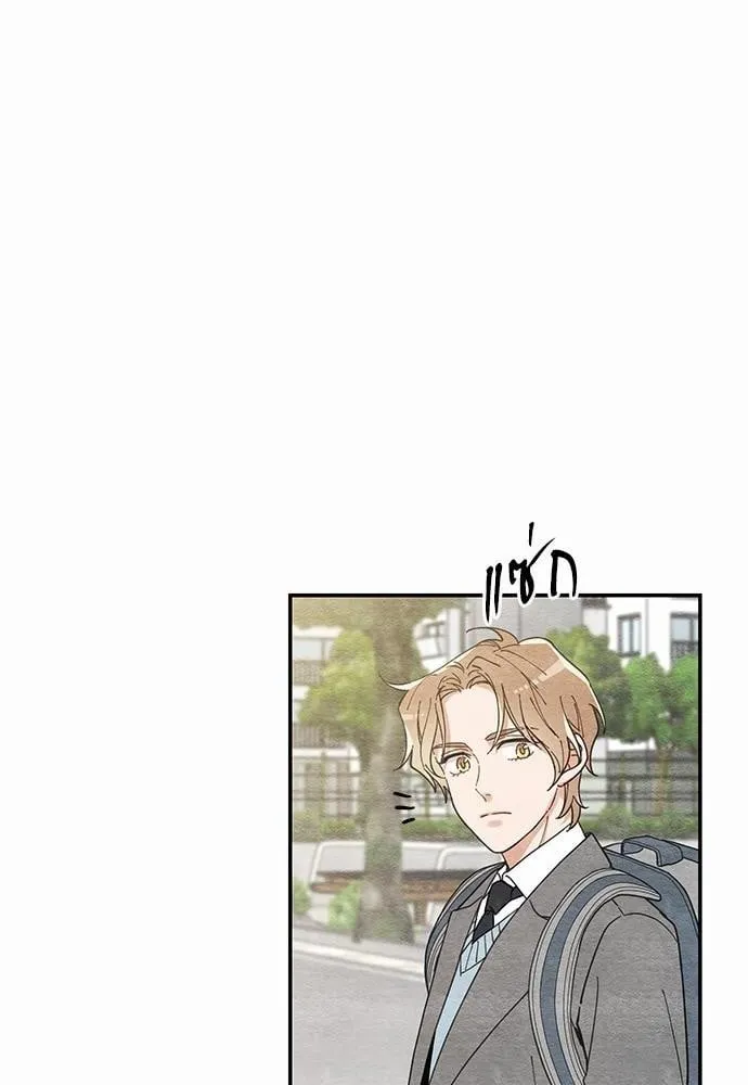 My One and Only Cat ตอนที่ 1010