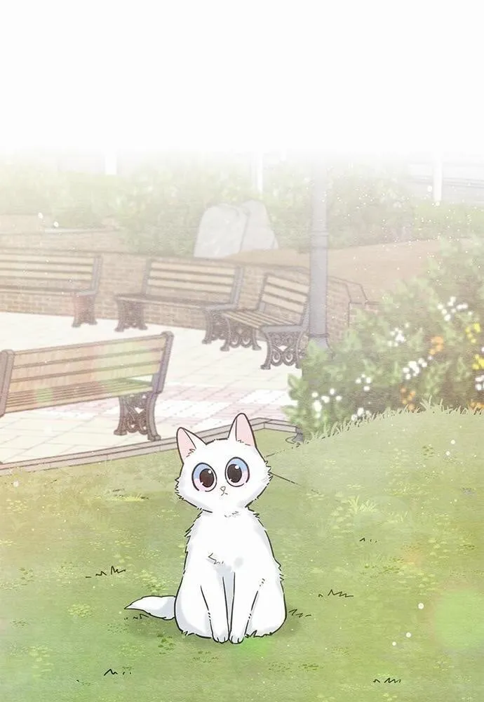 My One and Only Cat ตอนที่ 1014