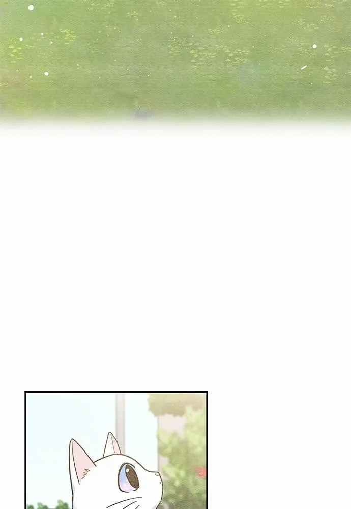 My One and Only Cat ตอนที่ 1015