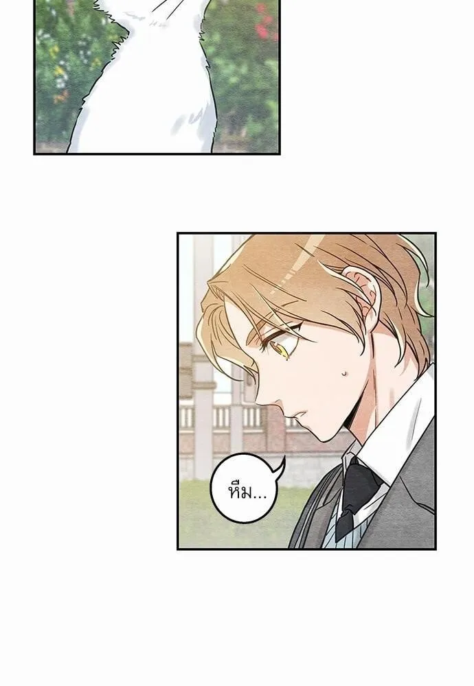 My One and Only Cat ตอนที่ 1016