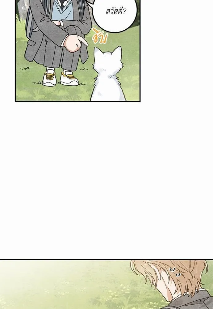 My One and Only Cat ตอนที่ 1019