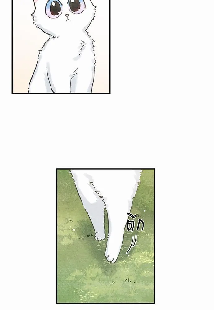 My One and Only Cat ตอนที่ 1021