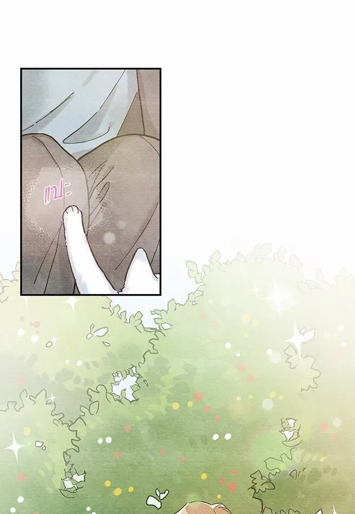 My One and Only Cat ตอนที่ 1023