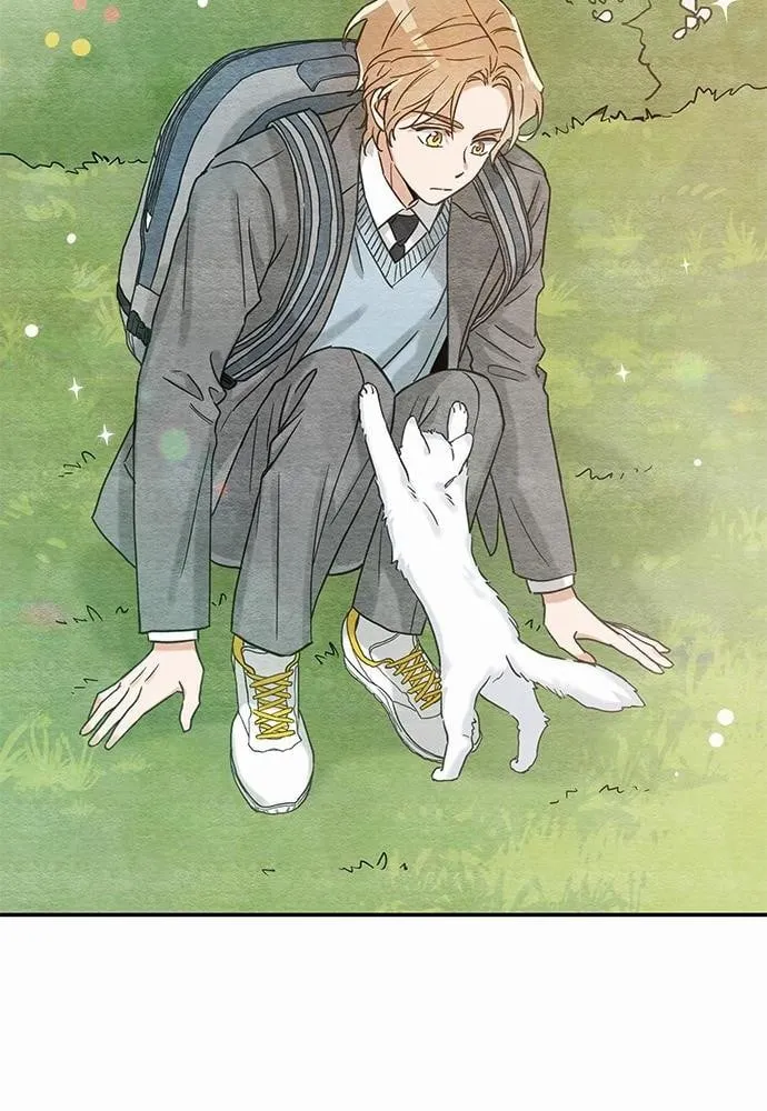 My One and Only Cat ตอนที่ 1024