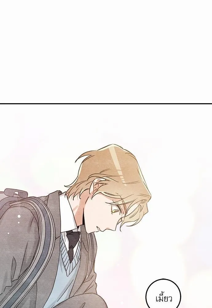 My One and Only Cat ตอนที่ 1025