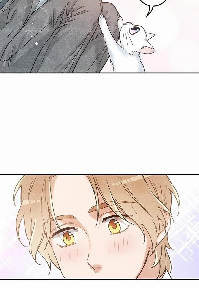 My One and Only Cat ตอนที่ 1026