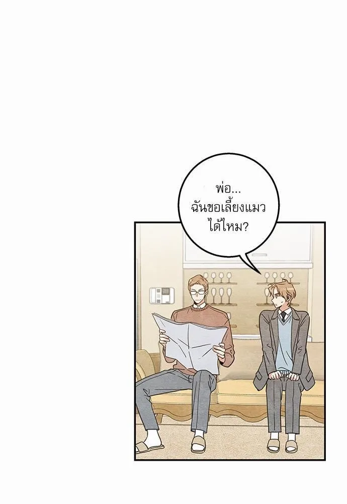 My One and Only Cat ตอนที่ 1029